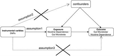 Association of nicotine dependence and gut microbiota: a bidirectional two-sample Mendelian randomization study